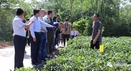 东港区卫生计生局就患儿死亡作出说明