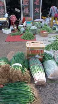 了解城市的昨天看博物馆,了解城市的今天看菜市场 呼和浩特市内蒙古博物院 东瓦窑农副产品市场参观记