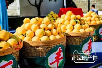 炎陵黄桃为什么这么贵,看这篇最新报道怎么说